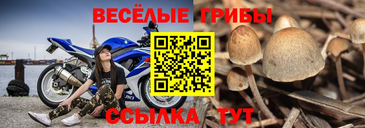 Галлюциногенные грибы ЛСД  Вход с VPN  Балахна  Галлюциногенные грибы мицелий 